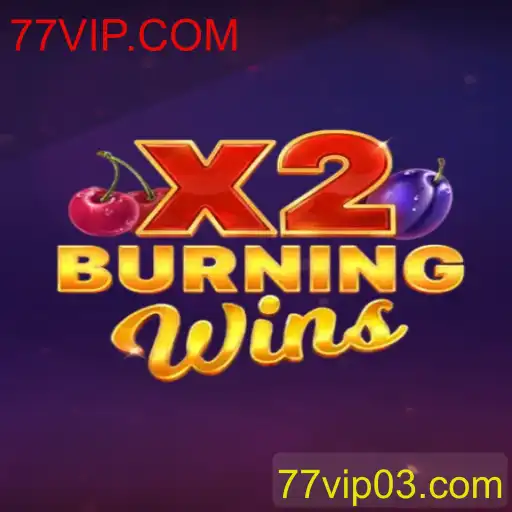 Explorando BurningWinsX2: Uma Imersão no Mundo do Entretenimento Digital